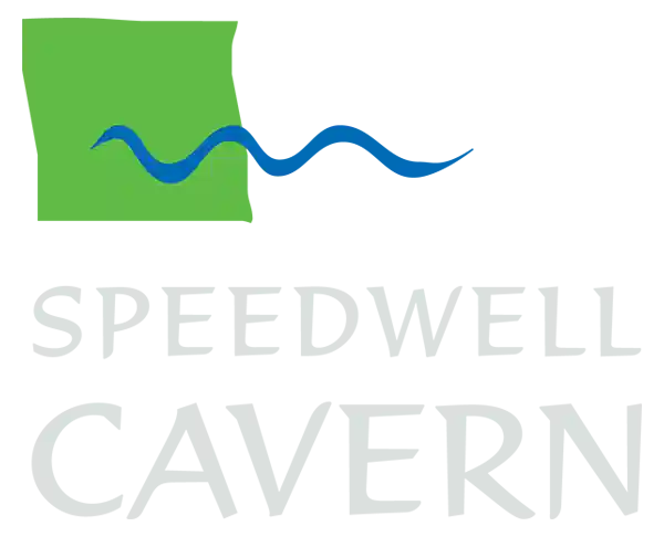 speedwellcavern.co.uk